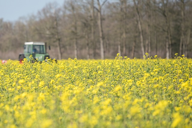 Den perfekte kultivator: Hvordan vælger du den rigtige maskine til dit landbrug?
